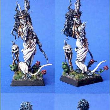 Dark elf - Sorceress by Munigrot