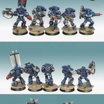 Crimson Fist Sternguard by nels0nmac