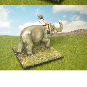 Numidian War Elephant DYM Painted ACA18a by dygp2010