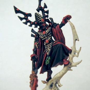 Farseer Conversion from a Bonesinger by mauganra13