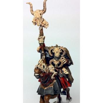 Chaos Sorcerer on Mount by filescraps