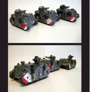 Greynights Razorbacks by Scott Edwards