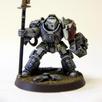 Grey Knight Terminator by Poa