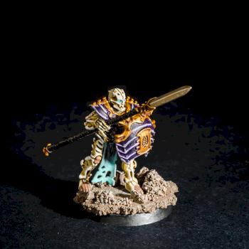 Ossiarch Bonereaper #3 by the_secret_paintbrush