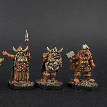 Starter Wips for another Saga Viking Warband 28mm Wargames Foundry by avalonindustries2040
