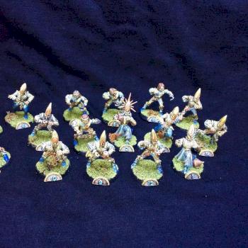 blood bowl high elves hauts elfes team converted by tyyler