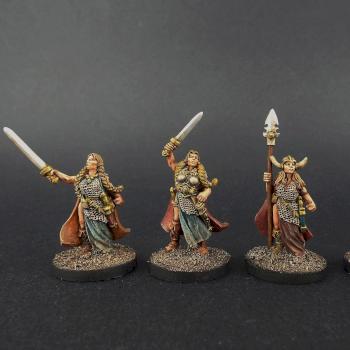 Starter Wips for another Saga Viking Warband 28mm Wargames Foundry by avalonindustries2040