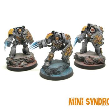 Wolfguard terminators by Leon0679