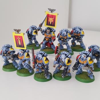 Space Wolves Grey Hunters by The Original Brandydog