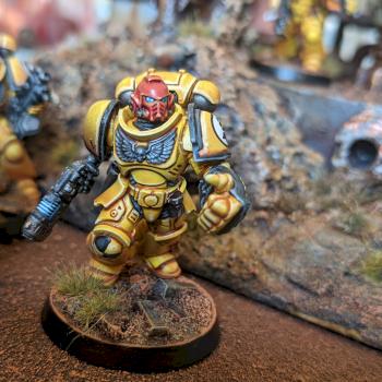 Imperial Fist Primaris Intercessor Sergeant by Ian Alexander