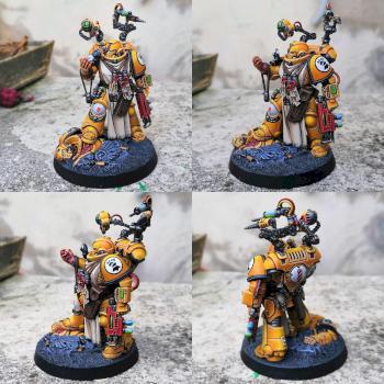 Apothecary Imperial Fist Primaris by CerberusXt