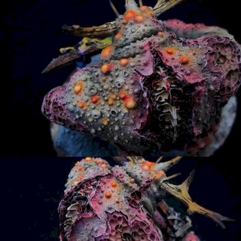 Great Unclean One from Forgeworld Part 2 (details) by SavageDPainting