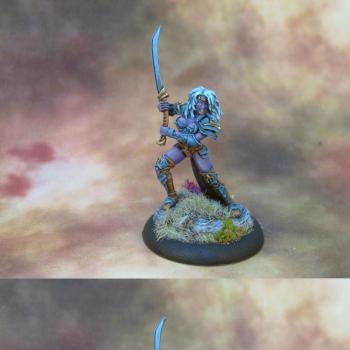 dark elf warrior female by miniking