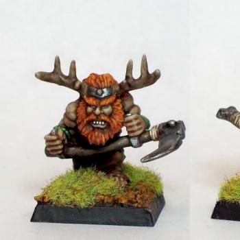 Dwarven Druid by cassius