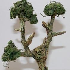 Ent 1 by payasetesinthehouse