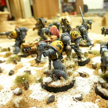 Space Wolves Grey Hunters by evolvingeye