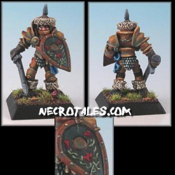 Old Citadel Paladin by EArkham