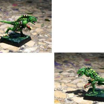 Skink by Skink Chief