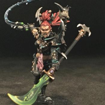PROPAINTED DRUKHARI SUCCUBUS by Eselri