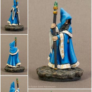 Anirion, Wood Elf Wizard (77068) by Dae