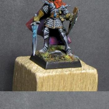 Limited Selafyn High Elf Hero by Camelson by WhiteRavenFactory