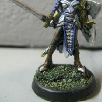 Reaper D&D Elf Paladin by daily4605