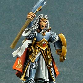 High Elf Hero by MiG