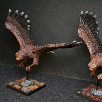 HE Eagles by exocorp