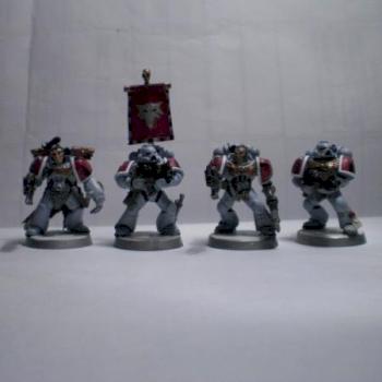 Space Wolves,Grey Hunters by BrotherHrolf