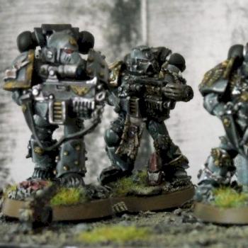 Storm Warriors Sternguard squad by Haydinius