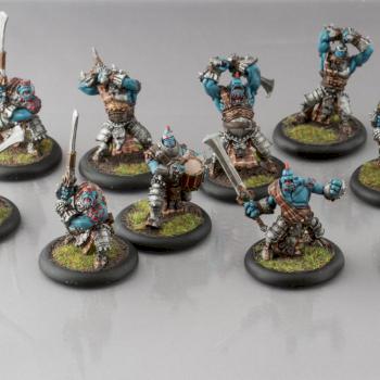 Trollkin Fennblades and Unit Attachment by Tarkand