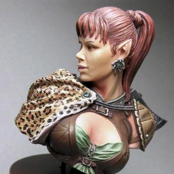 Elf Huntress by BlackDog