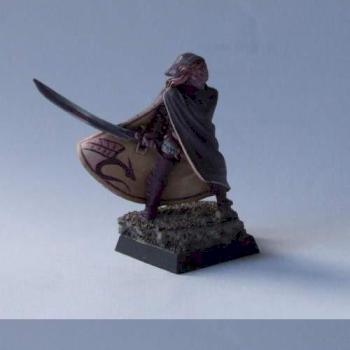 Aenur, The Sword of Twilight or Dark Elf Assassin by johnnykangur