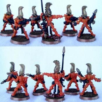 Eldar Fire Dragon Squad by tachitachi