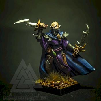 Dark Elf Assassin by Wolffghar