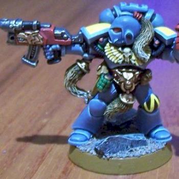Wolf Guard conversion by paladian