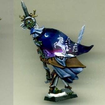 Standard Bearer Wood Elf by Drakkarth