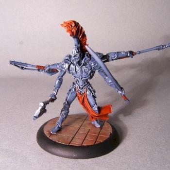 Nova cynwall by little wing