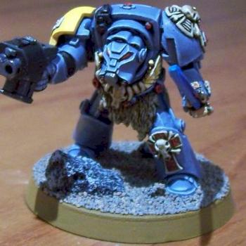 Wolf Guard terminator conversion by paladian