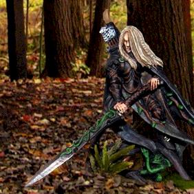 Wood Elf Highborn by dunedain1108