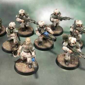 Imperial Guard Veterans - Desert Camouflage by Elmo9141