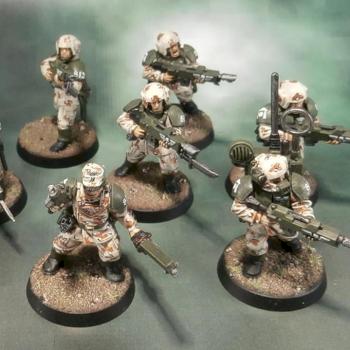 Imperial Guard Desert Camouflage by Elmo9141