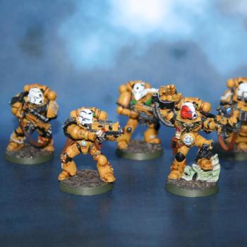 Imperial Fists Sternguard Veteran by Alberto G