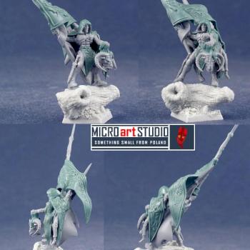 Wood Elf Standard Bearer by vandoc