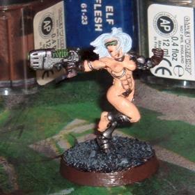 Gefolgin meines Inquisitors by pictop