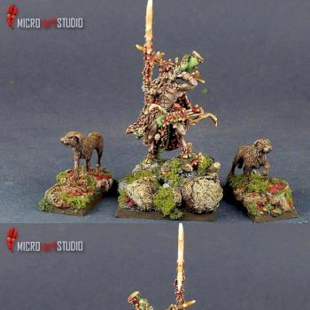 Wood Elves Orion by Lasota