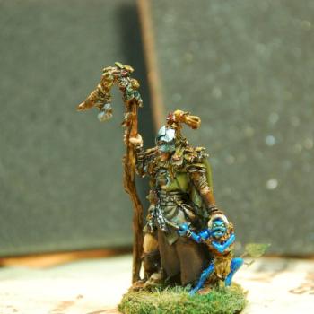 Wood Elf Spellsinger by Greshan