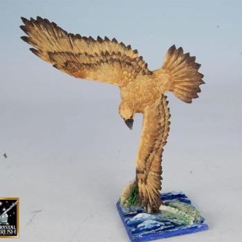 Screaming Eagle by Chris Yu