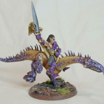 Elf Dragon Rider by chaney