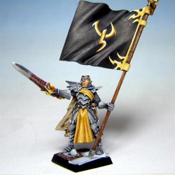 Dark elf BSB on foot by LukaszCyranski